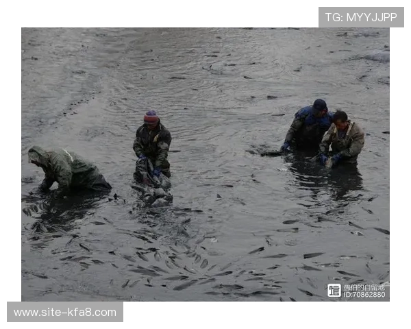 凯发一触即发大结局：视觉效果震撼场面令人震惊不已